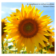 National Compliment Day Etiquette. Sunflower with Robert Orben quote. A compliment is verbal sunshine.